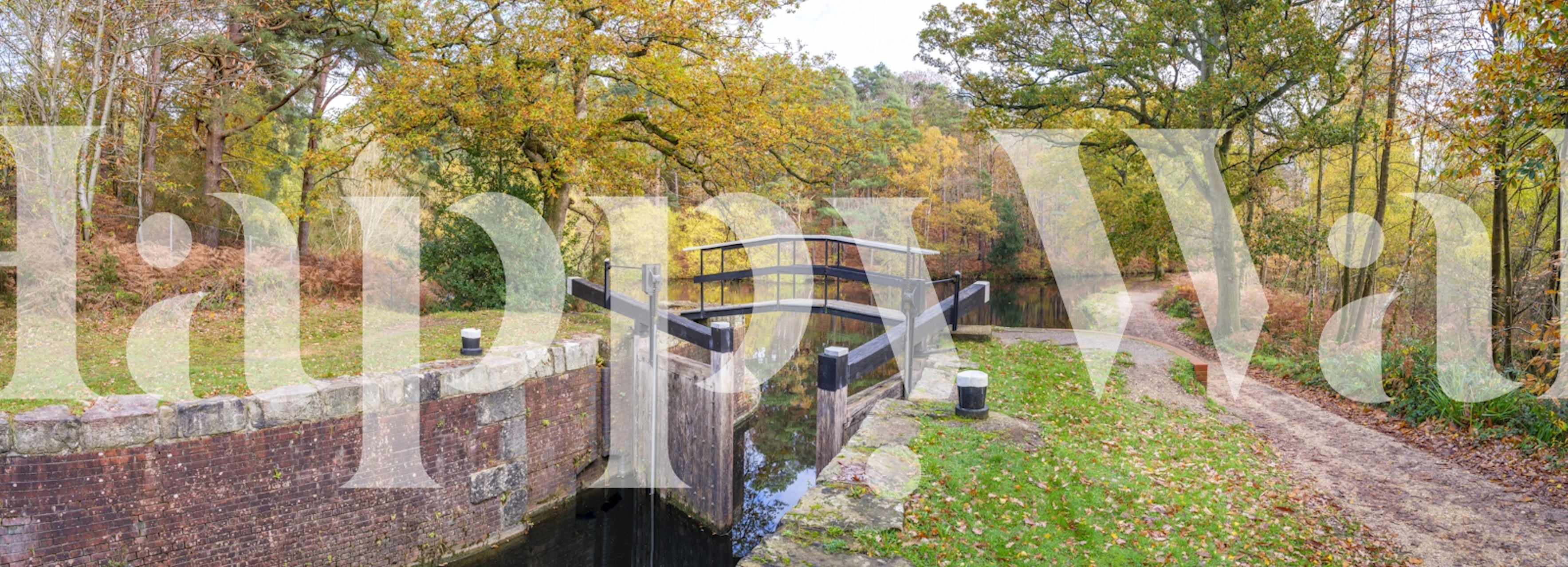 Autumnal river and forest scenery wall mural featuring a wooden water pathway