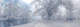Foggy Waterway
