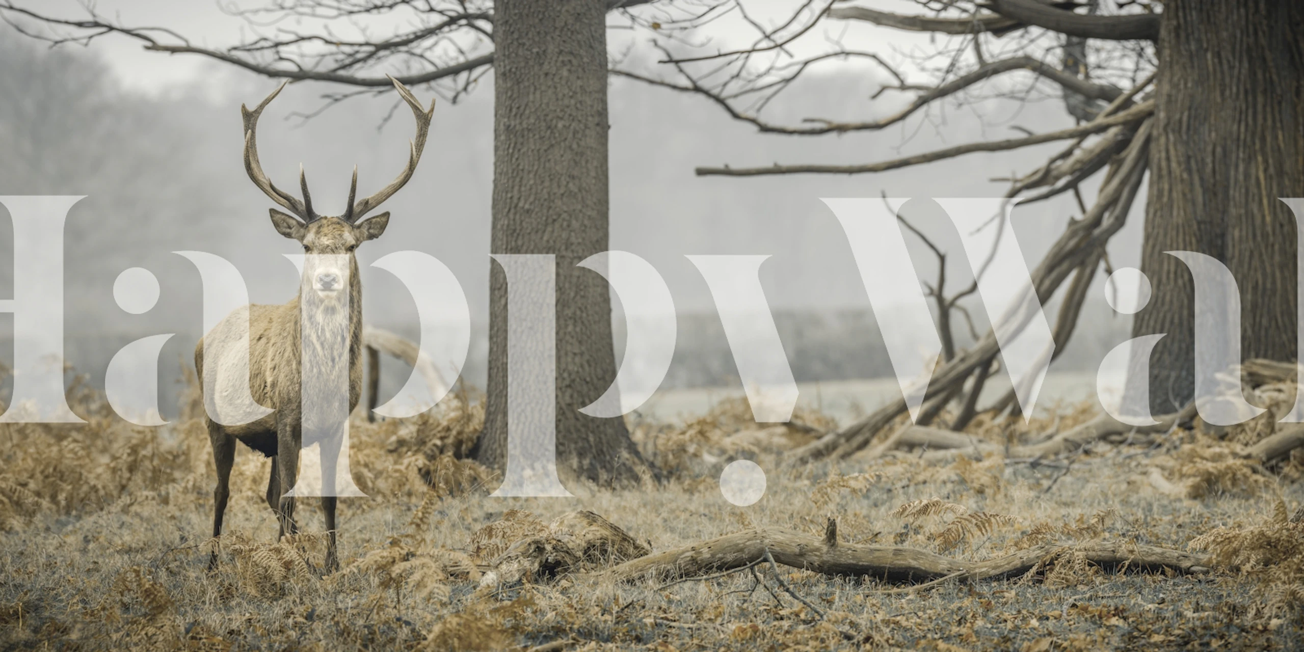 Deer in a tranquil forest setting with muted colors wallpaper