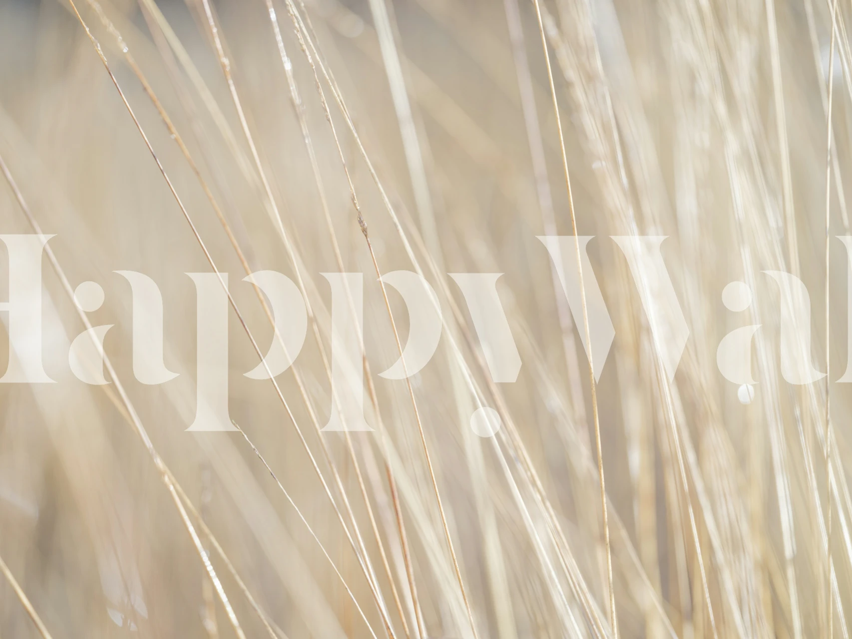 Marshland Beauty wallpaper in a room