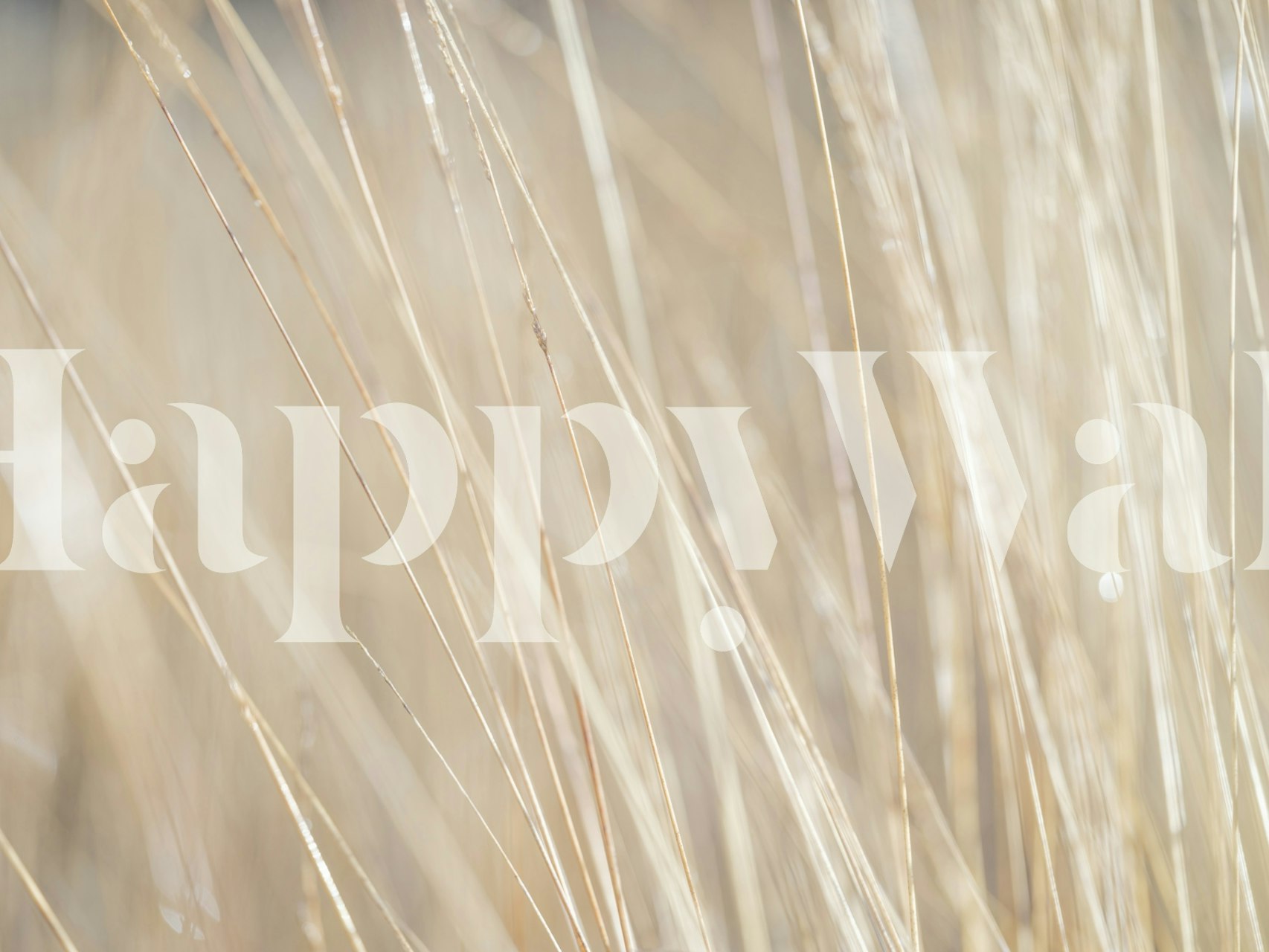 Carta da parati Marshland Beauty in una stanza