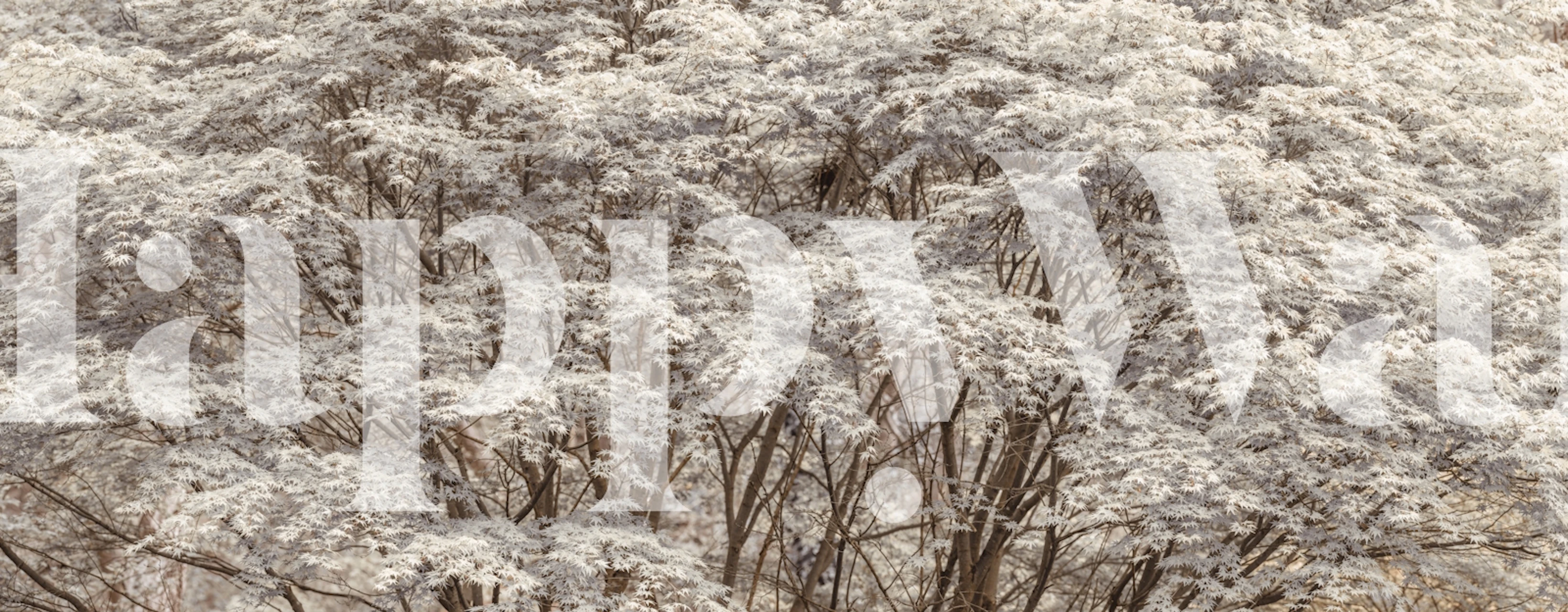 Nature's Roof Tapete in einem Raum