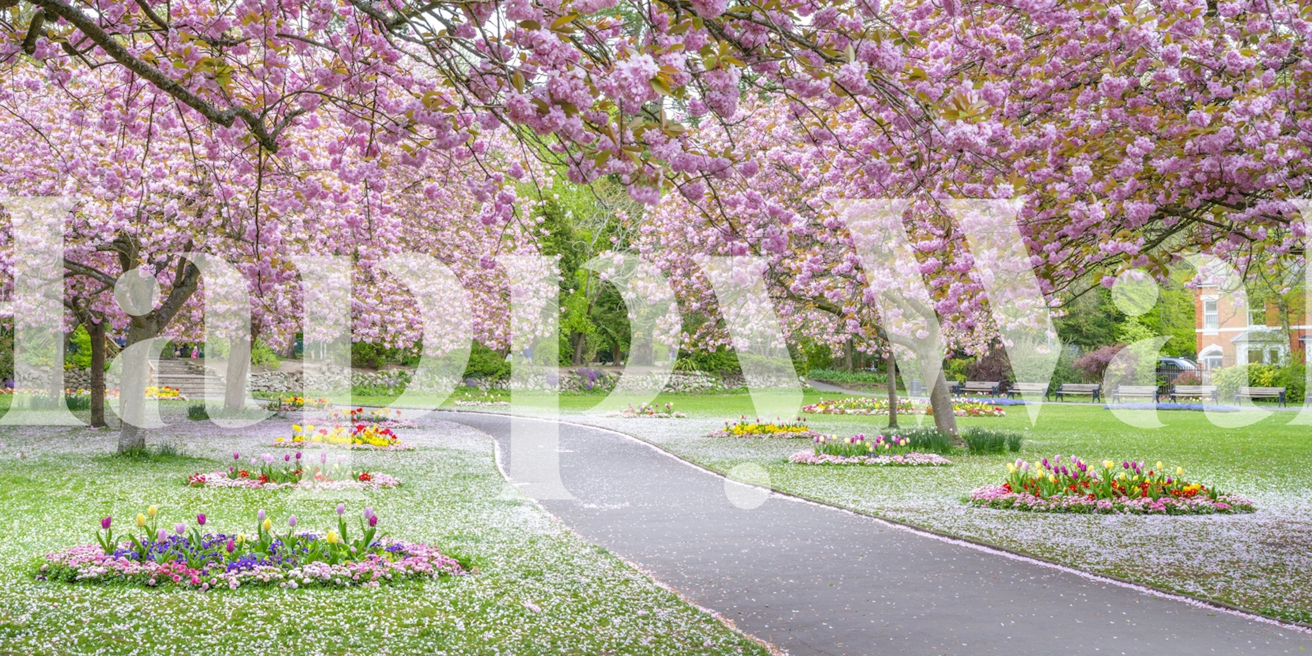 Blossom Park wallpaper in a room
