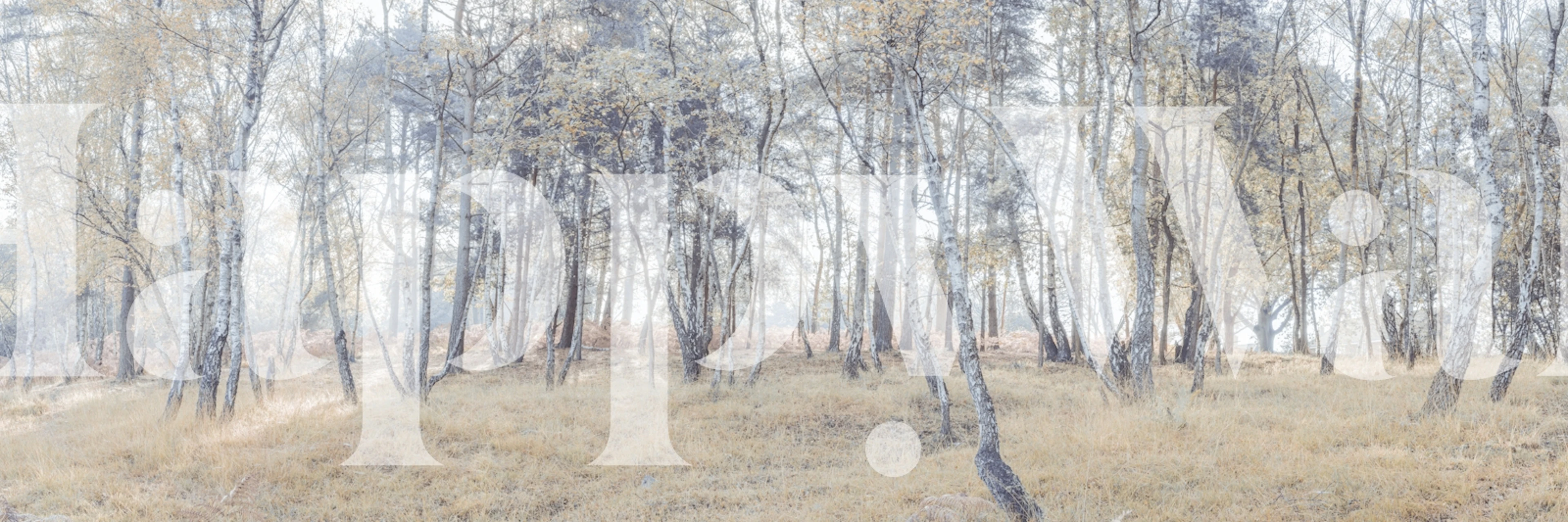 Woodland Giants tapet i et rum