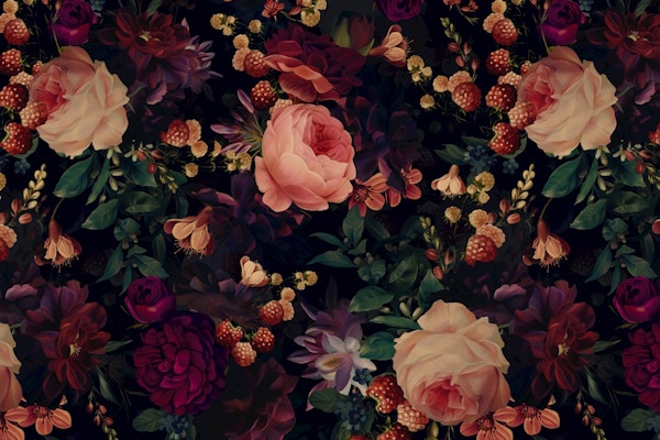 Midnight Burgundy Roses Berries Garden