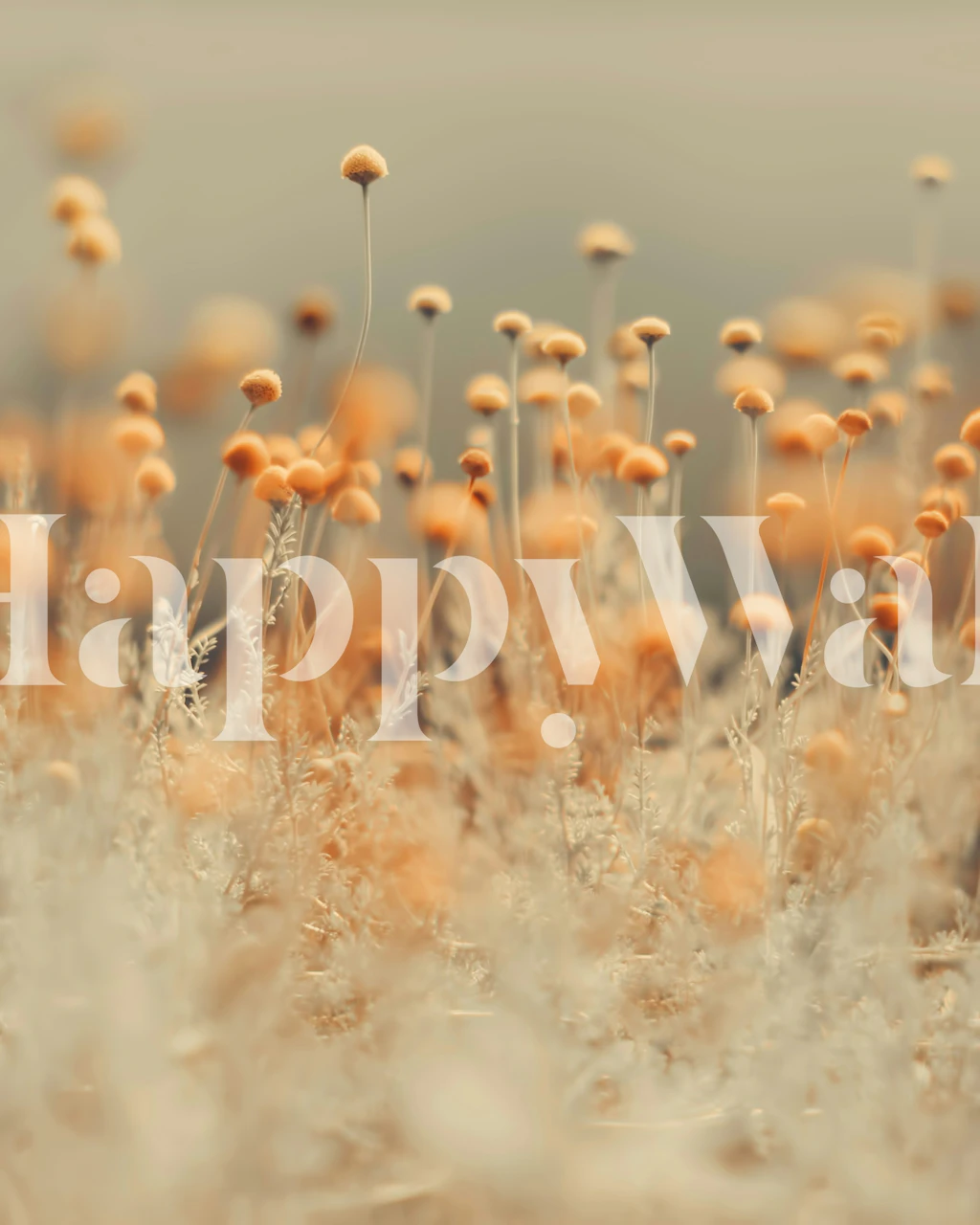 Gelbe Wildblumen-Wandtapete mit filigranen Details