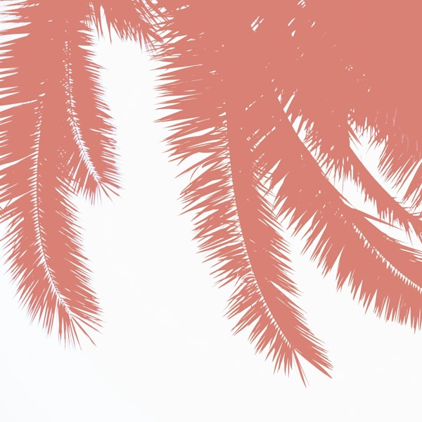 Tree Palm Leaves in Terracotta