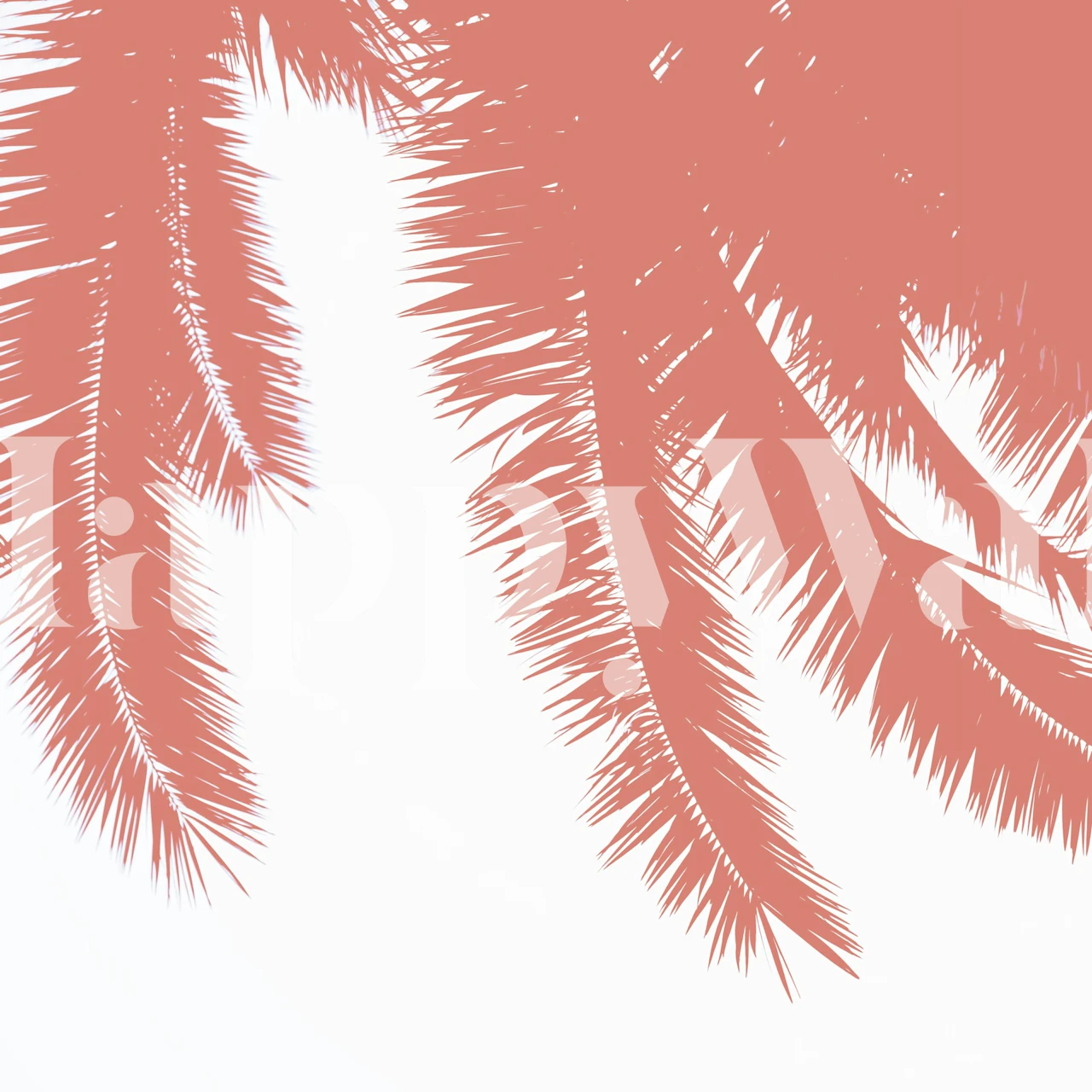 Tropische Palmblätter in Terracotta auf weißem Hintergrund Wallpaper