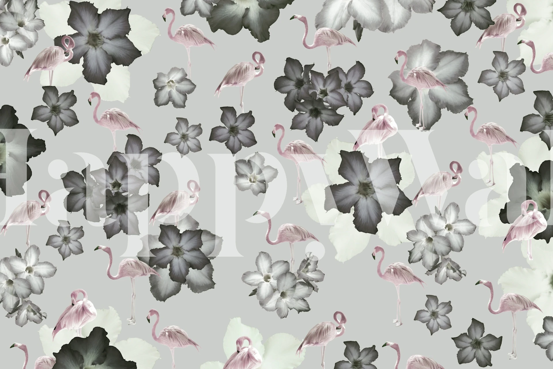 Desert Rose Flamingo Dream wallpaper in a room