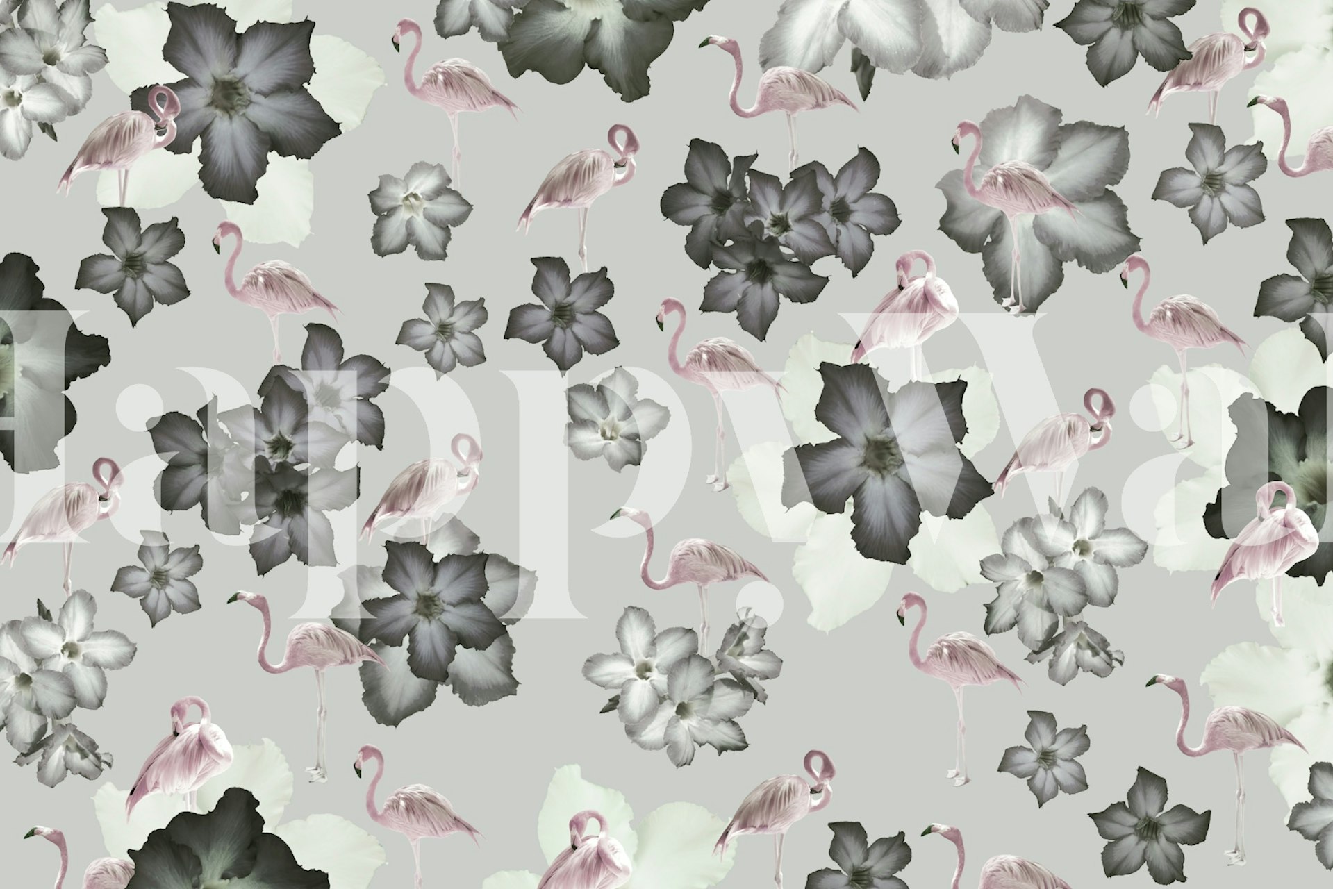 Desert Rose Flamingo Dream tapetti huoneessa