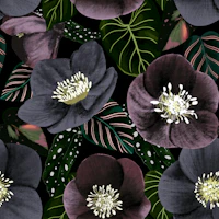 Midnight Dark Flowers tapetas