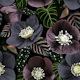 Midnight Dark Flowers