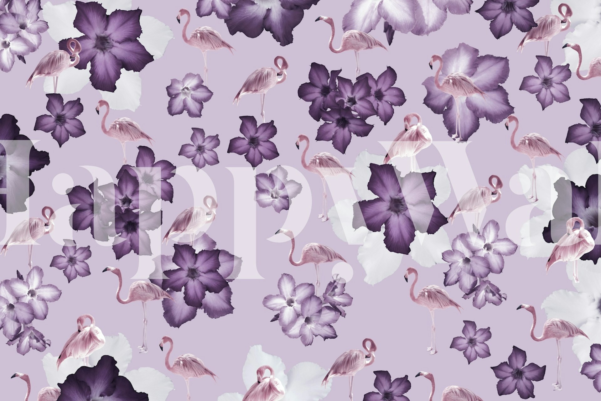 Flamingo ja kukka tapetti huoneessa