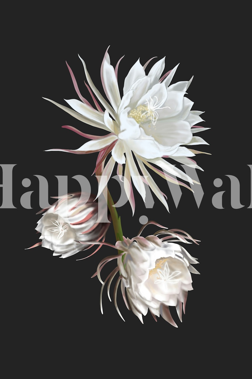 Queen of the Night floral wallpaper in a room