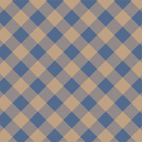 Gingham in taupe and navy blue tapeta