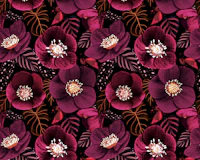 Midnight Dark Pink Flowers tapetas