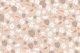 Flamingo Monstera Daisy Dream 2