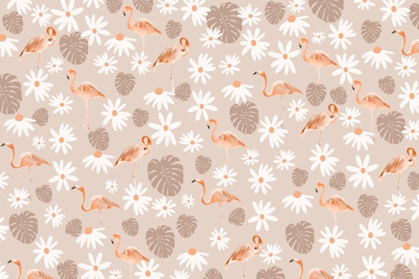 Flamingo Monstera Daisy Dream 2