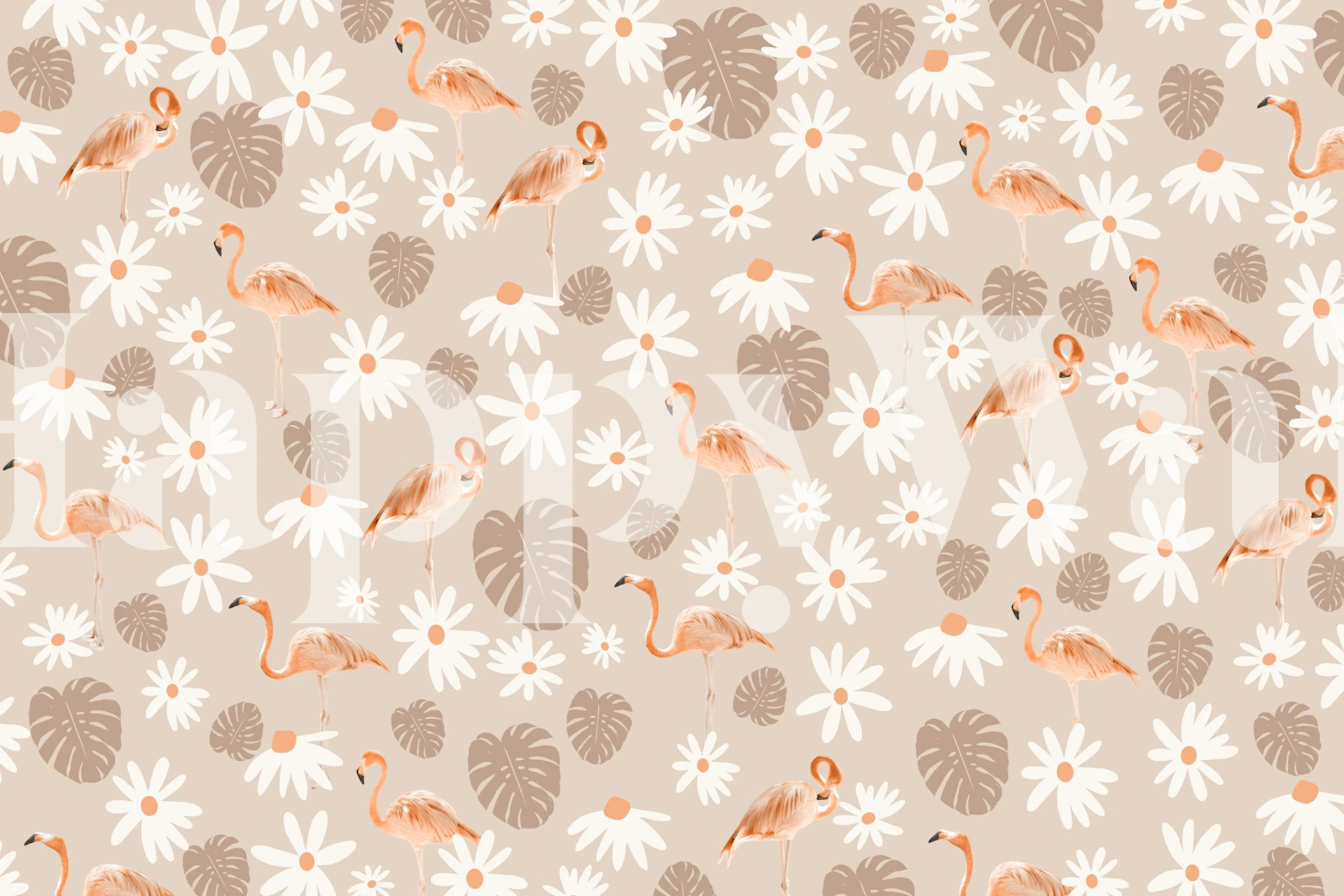 Flamingo Monstera Daisy Dream 2 tapetti huoneessa