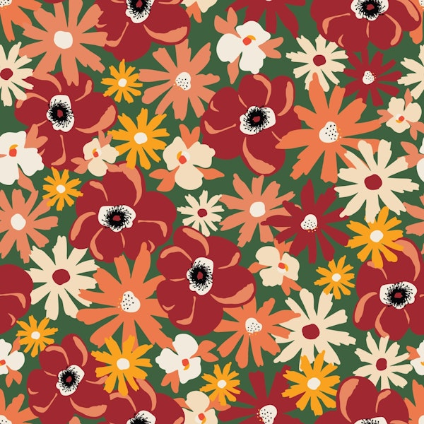 Late Summer Mixed Summer Multicolor Flowers