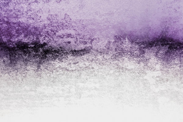 SNOWDREAMER LAVENDER FIELDS