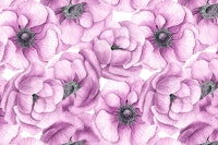 Pink anemone flowers ταπετσαρία