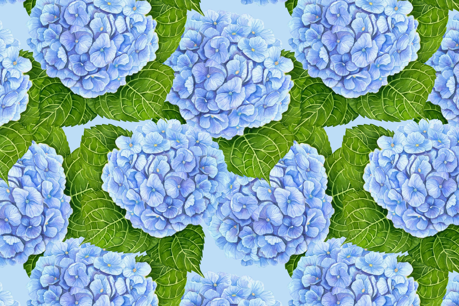 Blue Hydrangea 2 Wallpaper - Buy Now at Happywall