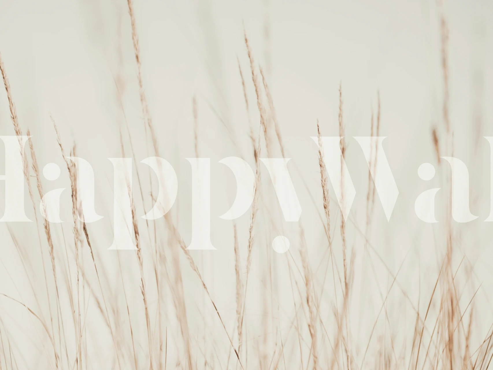 Dune Grass Creme Beige wallpaper in a room