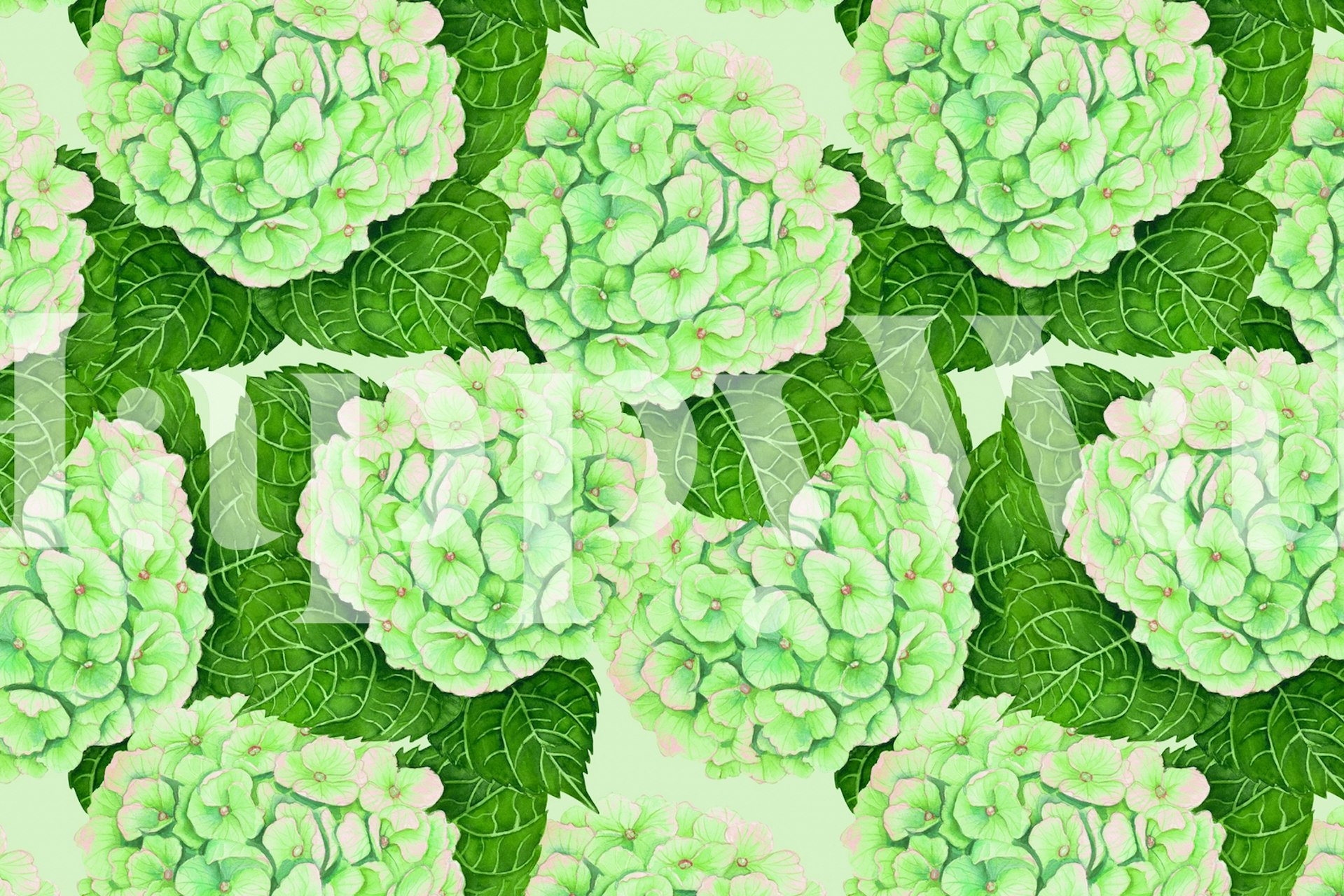 Tapeta Green Hydrangea u sobi