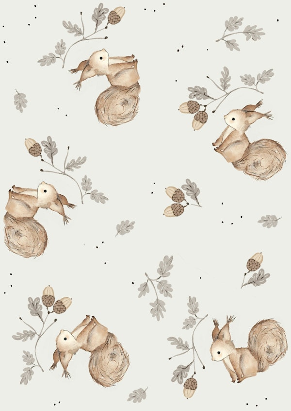 Cute little squirrels