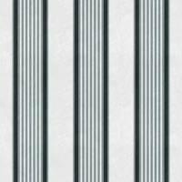 Antique stripes in slate blue grey black behang