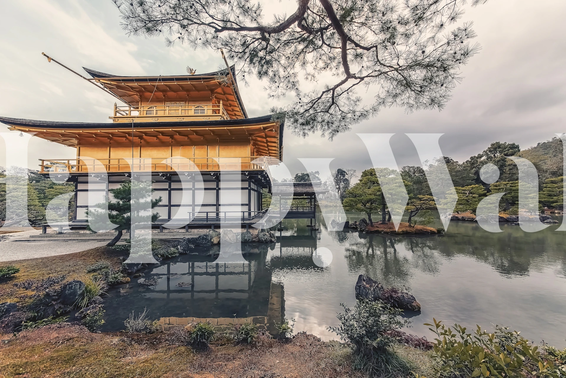 Kinkaku-ji Pagoda wall mural with serene water reflections and greenery