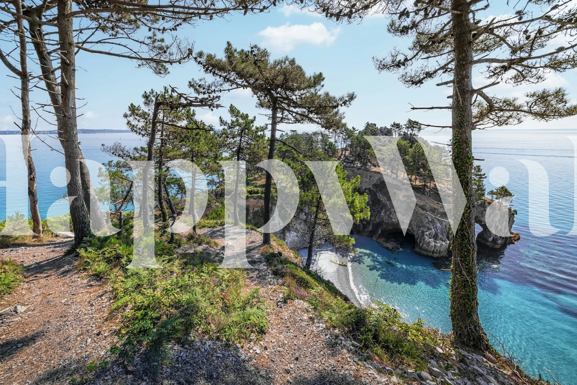 Coastal landscape with trees and blue ocean wallpaper