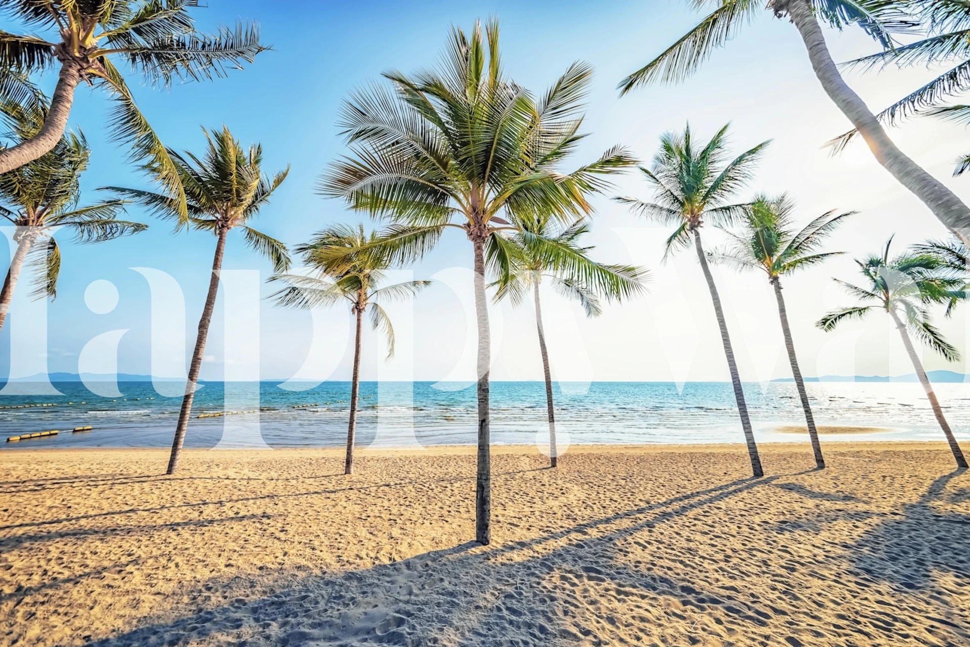 Palm trees on a sunny beach wall mural