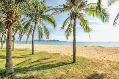 Τοιχογραφία