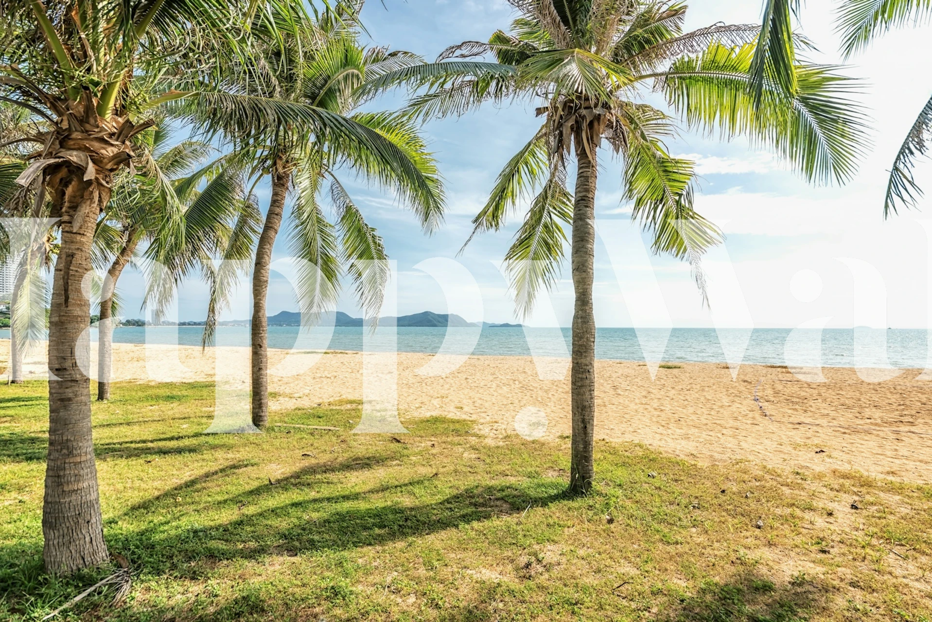 Tropical beach scene with palm trees and blue ocean wallpaper