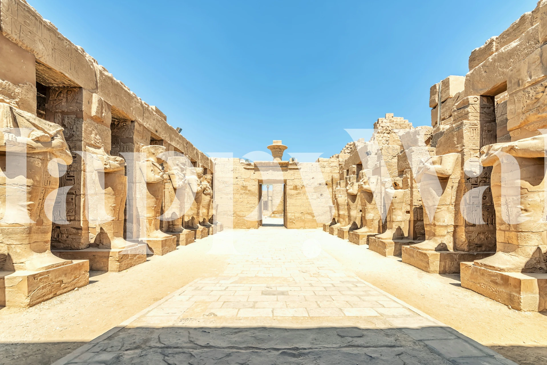 Karnak Temple wallpaper in a room
