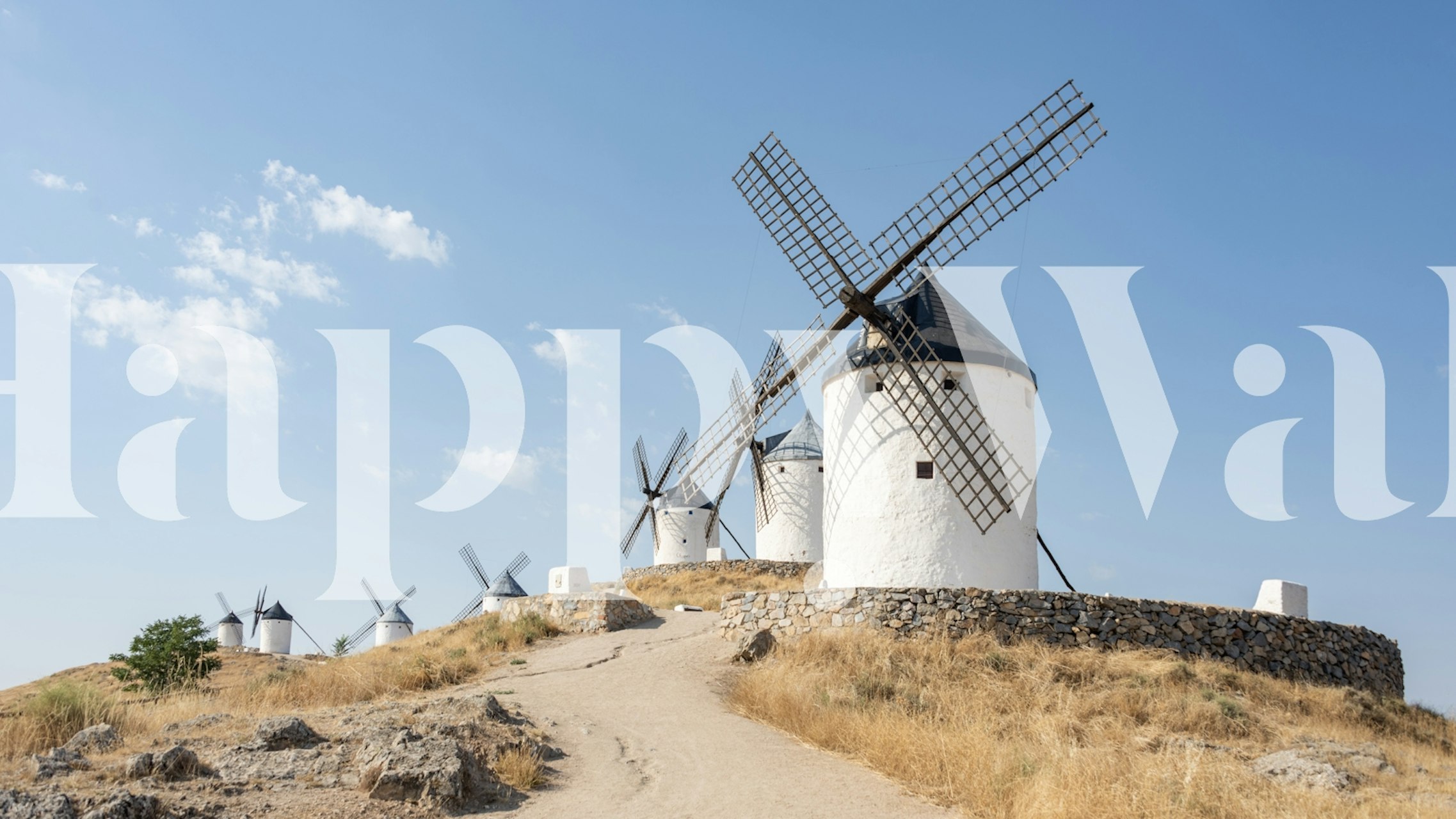 Windmills wallpaper in a bright room