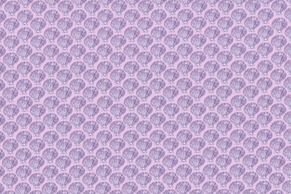 Mermaid Seashell Dream 1