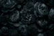 Victorian Grandeur Flowers Midnight Grey