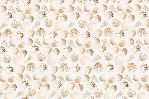 Vintage Seashell Dream 1