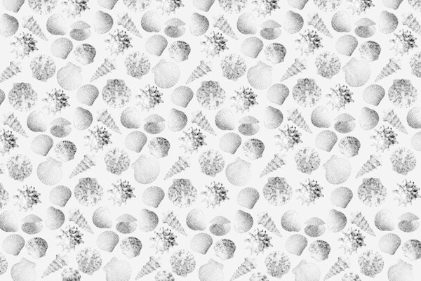 Vintage Seashell Dream 2