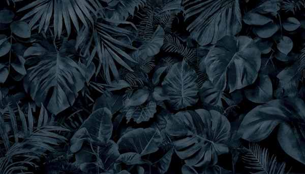 Moody Jungle Vibes Dark Teal