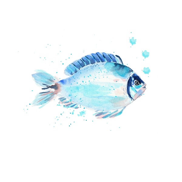 coastal watercolor blue fish