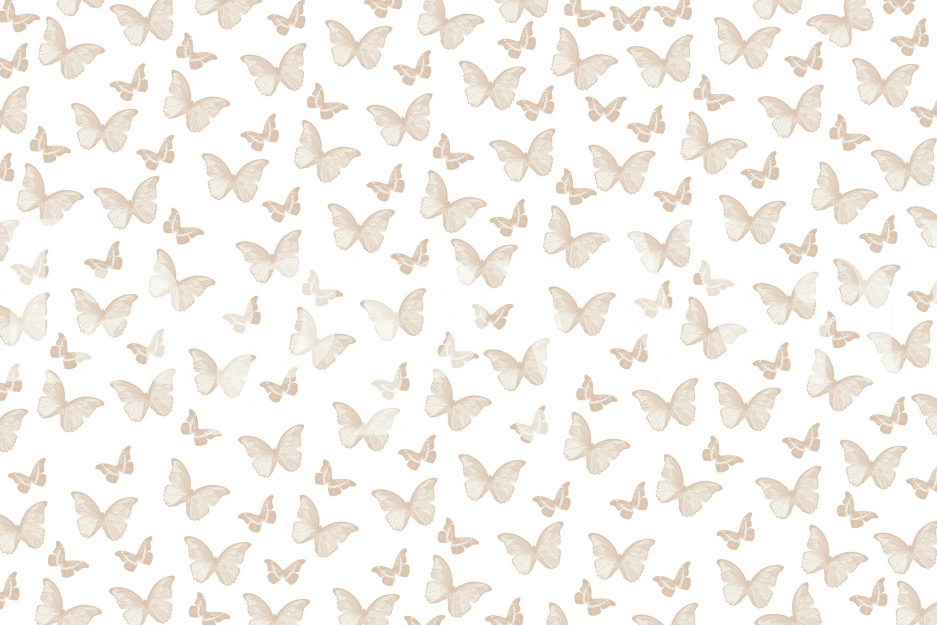 Soft beige butterfly pattern wallpaper in a room