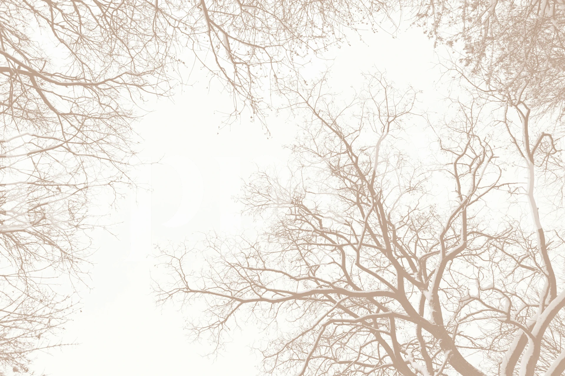 Soft Beige Snowy Tree Silhouettes tapet