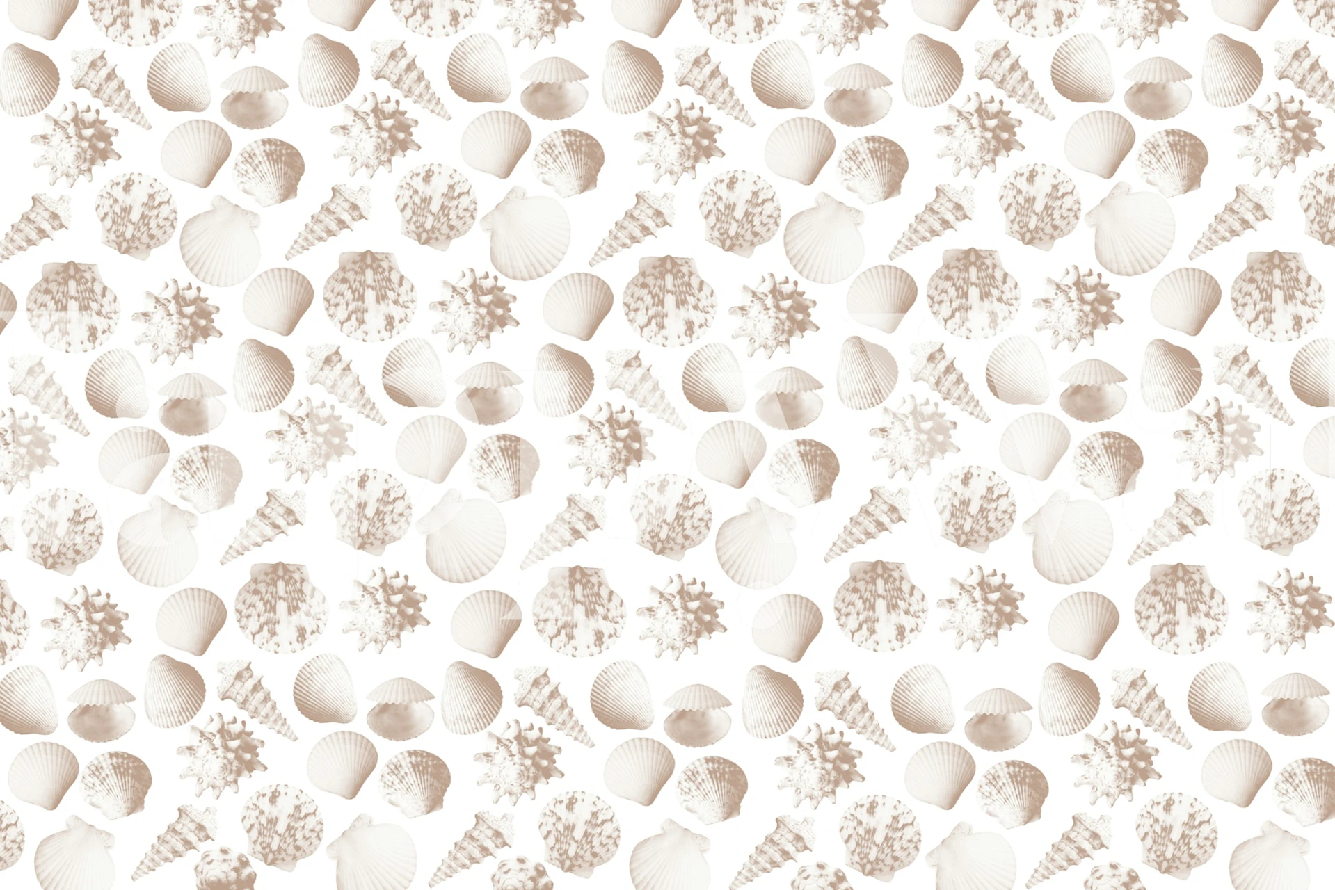 Soft beige seashell wallpaper in a room