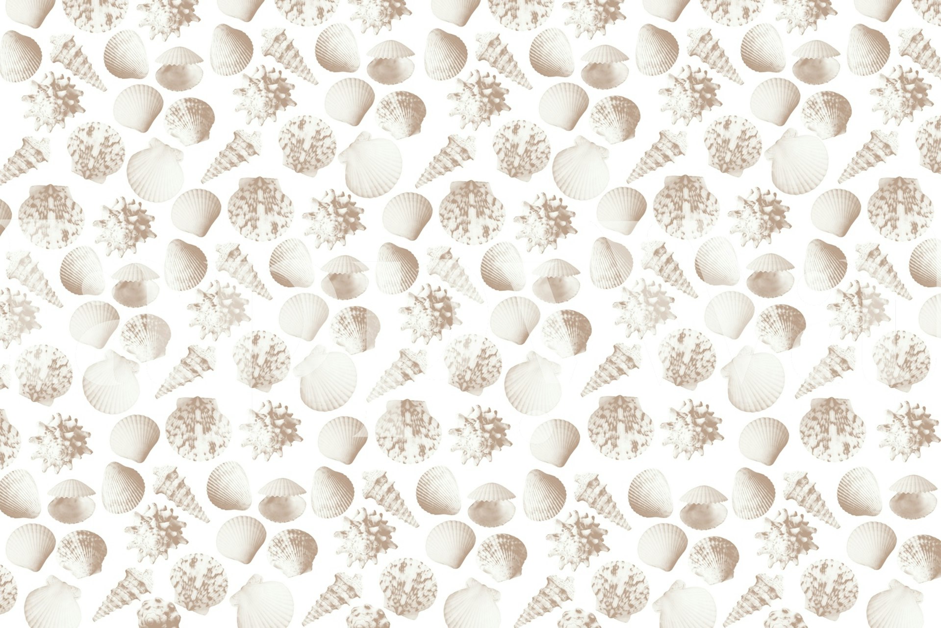 Soft beige seashell wallpaper in a room