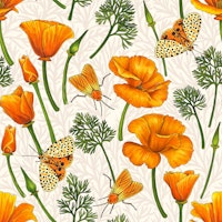 California poppies and moths on off white wallpaper