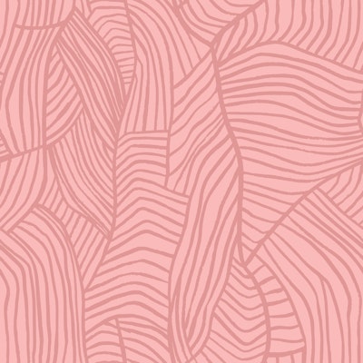 Vzor